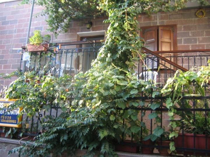 Μαχη Ενοικιαζόμενα Δωμάτια Mithymna Exterior photo
